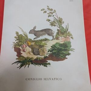 Wallflower Wild Rabbit Art Print - Green and Brown